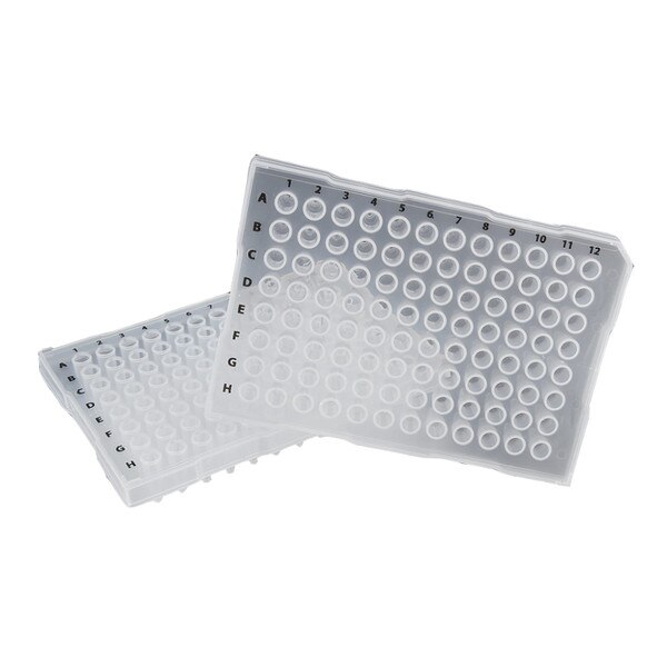 Sapphire 96 well PCR plate